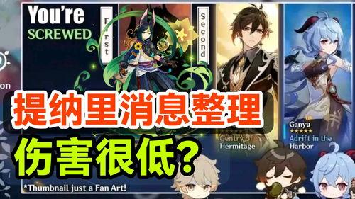 最新爆料提纳里,神秘英雄背后的故事与技能揭秘