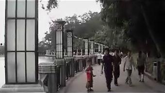 古镇灯都最新爆料,揭秘古镇灯都最新动态与亮点